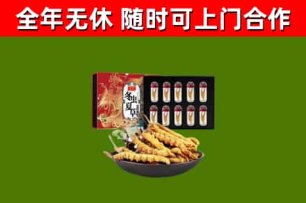 吉州区回收冬虫夏草价格